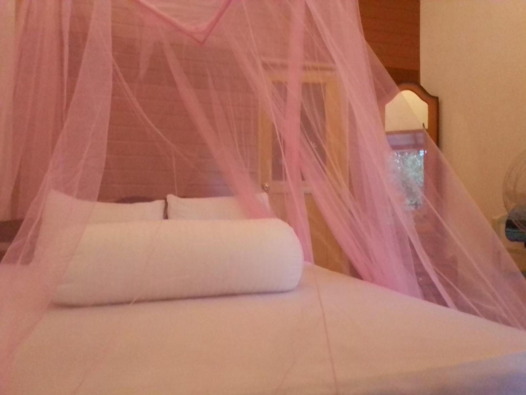 Talblick Homestay Ella Camera foto