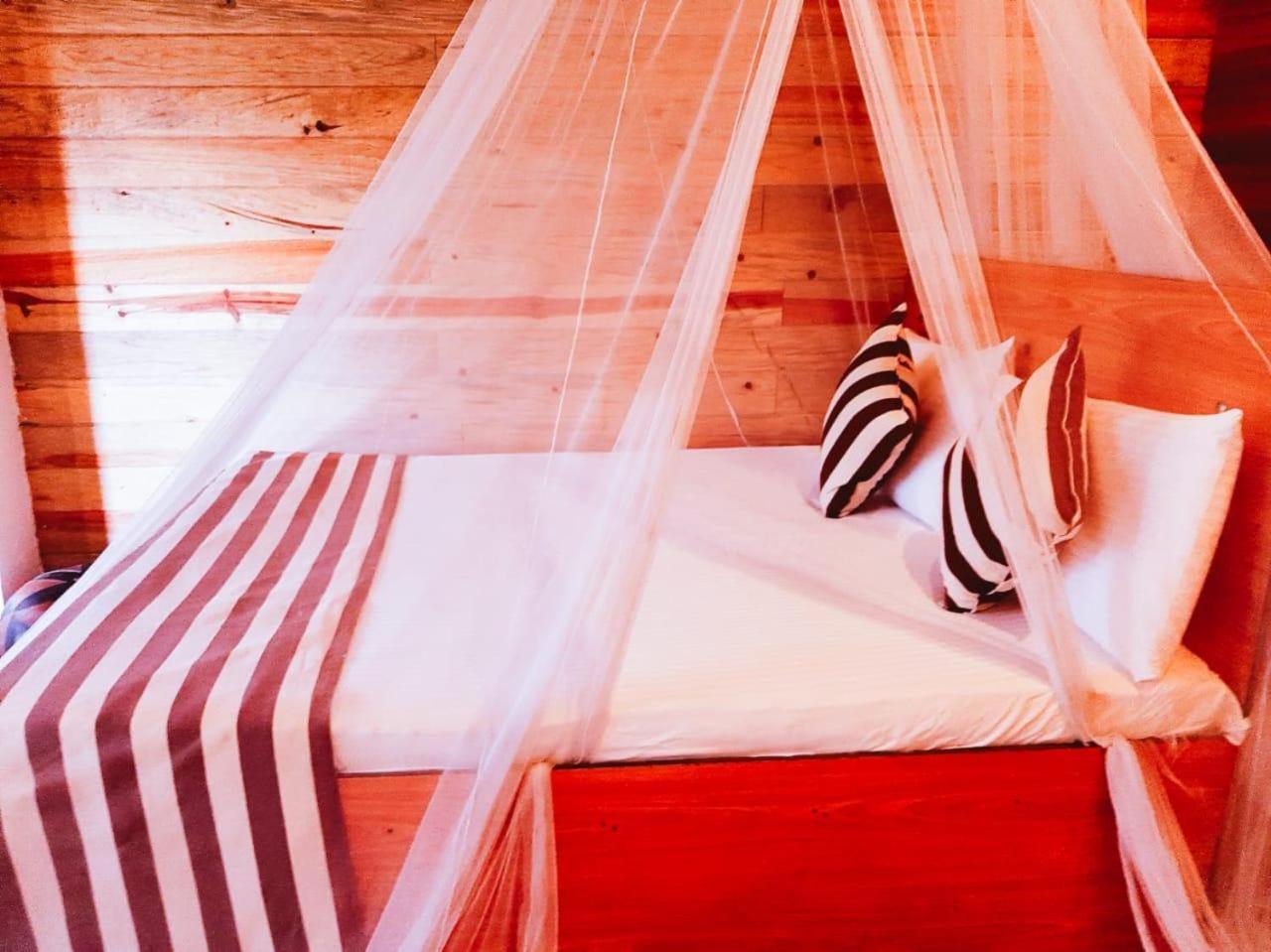 Talblick Homestay Ella Esterno foto